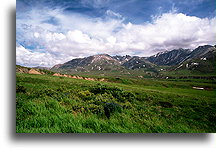 Tundra w Denali::Alaska, Stany Zjednoczone::