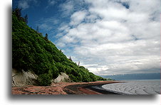 Plaża zatoki Kachemak::Alaska, Stany Zjednoczone::