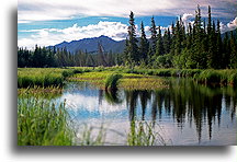 Góry Wrangell::Alaska, Stany Zjednoczone::