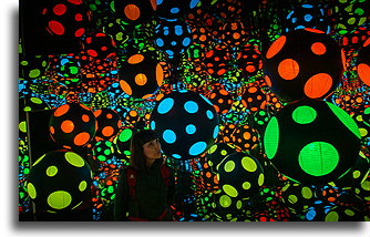 Wystawa Lustrzany Pokój Nieskończoności::Muzeum Crystal Bridges, Arkansas, USA::