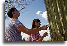 Mateusz, Ewa i Karnegia olbrzymia::Pustynia Sonora, Arizona, USA::