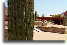 Dziedziniec w Taliesin West::Taliesin West, Arizona, USA::