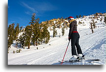 Trasa Saddle Face::Palisades Tahoe, Kalifornia, USA::