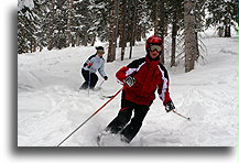Przecinka na górze Aspen::Aspen Mountain, Kolorado, USA::