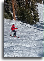 Trochę muld::Aspen Snowmass, Kolorado, USA::