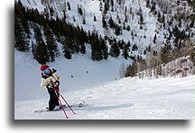 Trasa Shoulder of Bell::Aspen Mountain, Kolorado, USA::