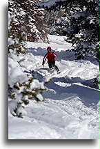 Narciarz w przecince Champagne::Vail, Kolorado, USA::