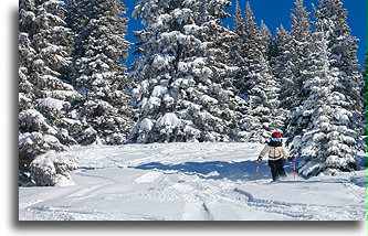 W dół trasą kotła Sun Up::Vail, Kolorado, USA::