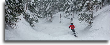 Trasa Hairbag Alley::Vail, Kolorado, USA::