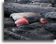 Płynąca lawa #1::Wulkan Kilauea, wyspa Hawaii, Hawaje::