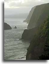 Klify Pololu o wschodzie słońca::Wyspa Hawaii, Hawaje::