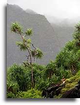 Dolina Hanakapi`ai::Kauai, Hawaje::
