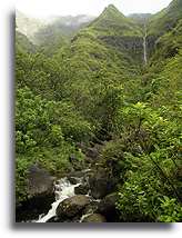 Potok Makaleha::Kauai, Hawaje::