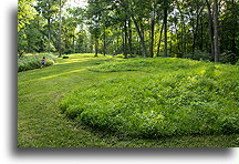 Kopiec w kształcie zwierzęcia #1::Effigy Mounds, Iowa, USA::