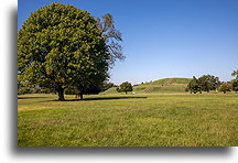 Kopiec Mnichów::Cahokia, Illinois, USA::