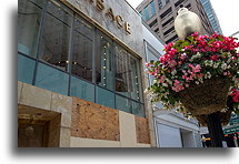 Miejsce strzelaniny::Chicago, Illinois, USA::