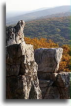 Catoctin Mountain