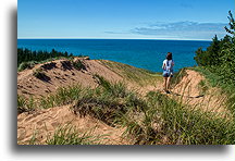 Trawa na wydmach::Wydmy wielkiego sobola, Michigan, USA::