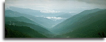 Hazy-Blue Fog::Góry Great Smoky, Karolina Północna::