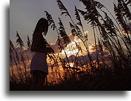 Jej sylwetka::Karolina Północna, Stany Zjednoczone::