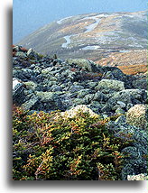 Droga na szczyt #3::New Hampshire, Stany Zjednoczone::