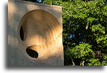 Obolin, 2020::Art Omi Park, Nowy Jork, USA::
