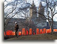 Bramy #3::Central Park, Nowy Jork, USA::