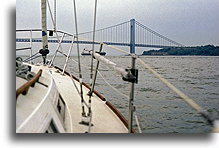 Most Verrazano #1::Nowy Jork, USA::
