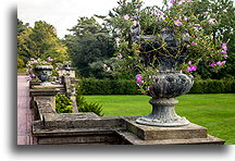 South Terrace #2::Old Westbury Gardens, Nowy York, USA::