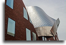 Zakrzywione okna::Cleveland, Ohio, USA::