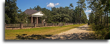 Road in Francis Marion National Droga w lesie Francis Marion::Santee, Karolina Południowa, USA::