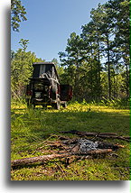 Niebo jest błękitne::Francis Marion National Forest, Karolina Południowa, USA::