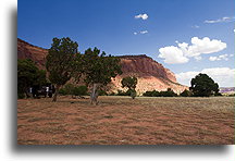 Lunch w cieniu drzew::Beef Basin, Utah, USA::