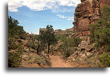 Droga do Canyonlands #3::Beef Basin, Utah, USA::