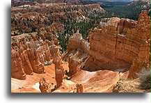 Kanion Bryce::Kanion Bryce, Utah, USA::