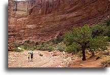 Wielka sucha rzeka #3::Capitol Reef, Utah, USA::