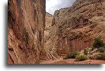 Capitol Reef