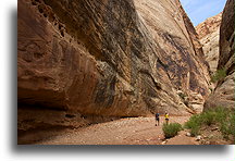 Wielka sucha rzeka #8::Capitol Reef, Utah, USA::