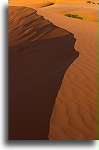 Krawędź wydmy #2::Coral Pink Sand Dunes, Utah, USA::