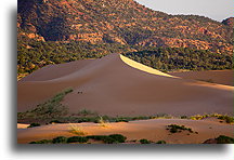Wydma piaskowa o zachodzie::Coral Pink Sand Dunes, Utah, USA::