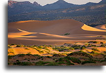 Ludzie na wydmie::Coral Pink Sand Dunes, Utah, USA::