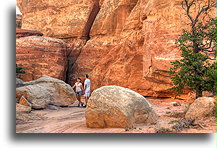 Wysokie twory skalne #2::Rejon Igieł w Canyonlands, Utah, USA::