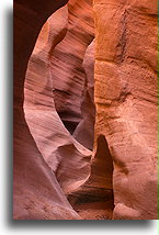 Kanion Peek-A-Boo #7::Grand Staircase Escalante, Utah, USA::