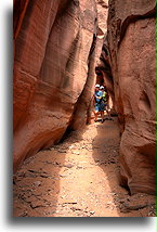Kanion Upiorny #11::Grand Staircase-Escalante, Utah, USA::