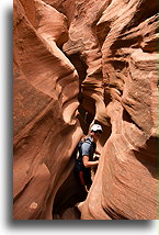 Kanion Peek-A-Boo #16::Grand Staircase-Escalante, Utah, USA::