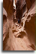 Kanion Kojota #19::Grand Staircase Escalante, Utah, USA::