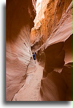 Kanion Kojota #20::Grand Staircase-Escalante, Utah, USA::