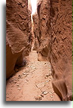 Kanion Kojota #21::Grand Staircase Escalante, Utah, USA::