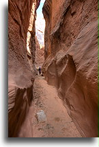 Kanion Kojota #22::Grand Staircase Escalante, Utah, USA::