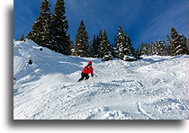 W dół szlakiem Hoback::Jackson Hole, Wyoming, USA::